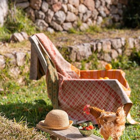 Agroturismo Son Viscos Valldemossa  Esterno foto