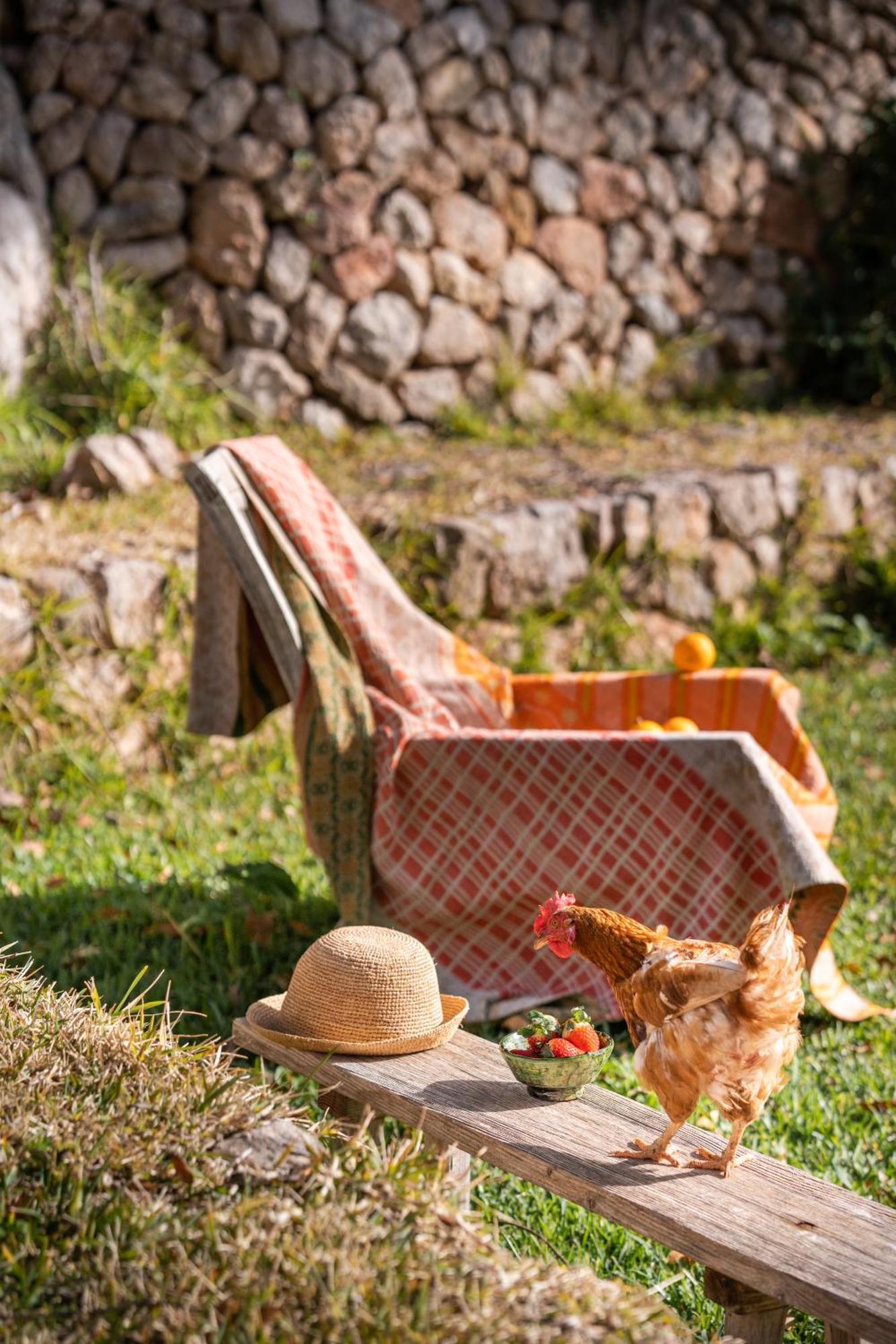 Agroturismo Son Viscos Valldemossa  Esterno foto