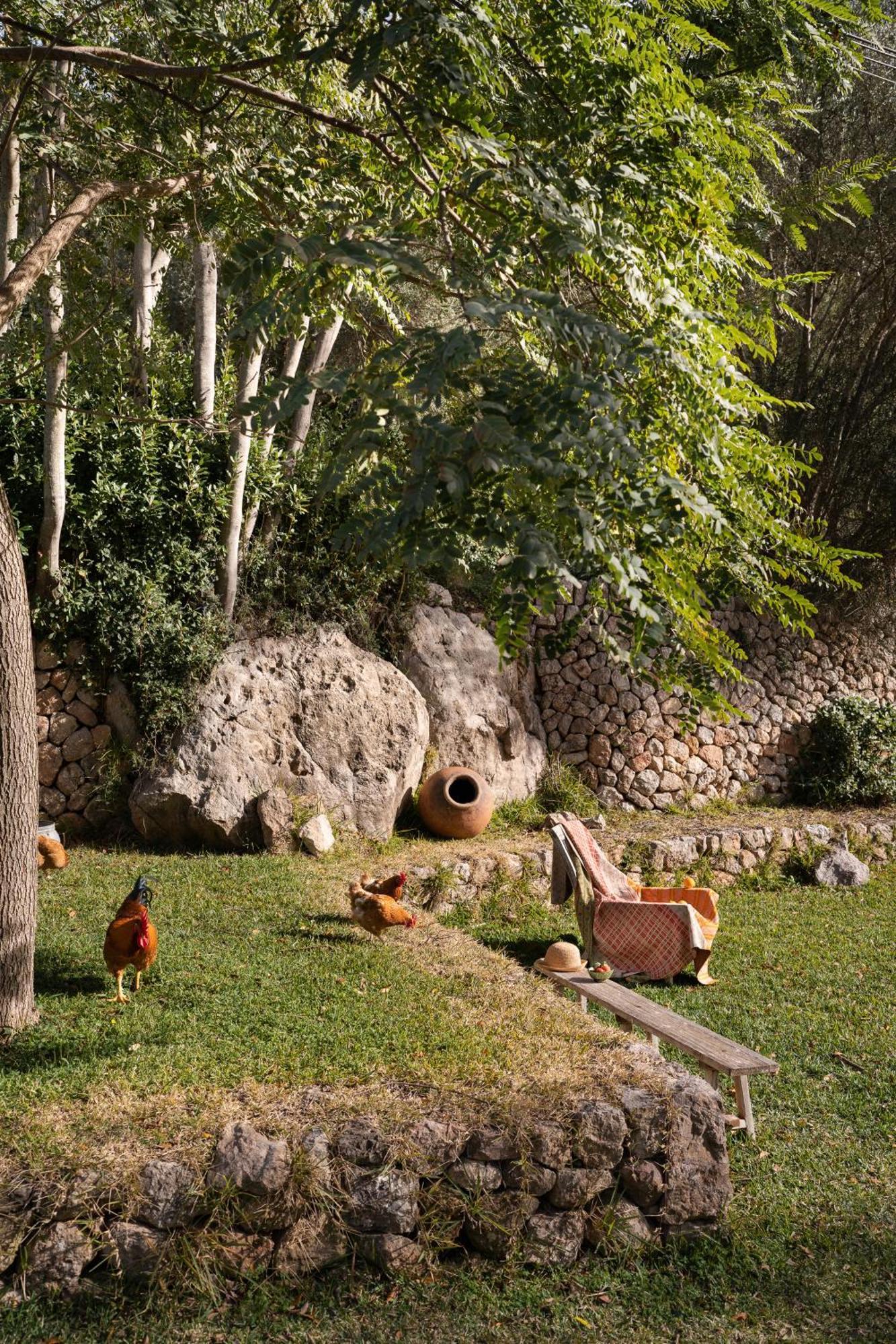 Agroturismo Son Viscos Valldemossa  Esterno foto